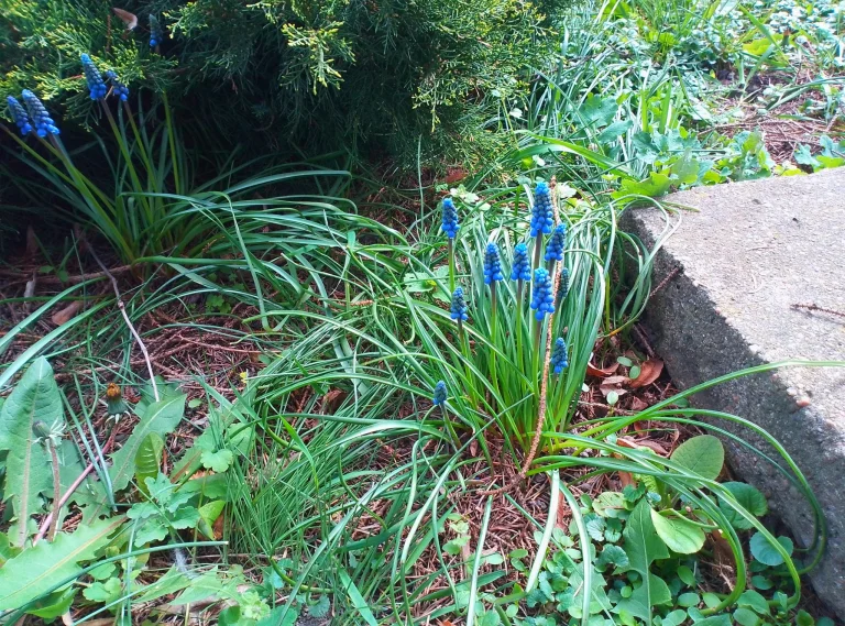 Teclast T60 tablet teszt /Frissítve/ 45