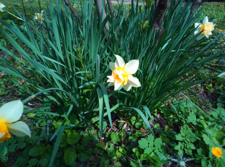 Teclast T60 tablet teszt /Frissítve/ 46