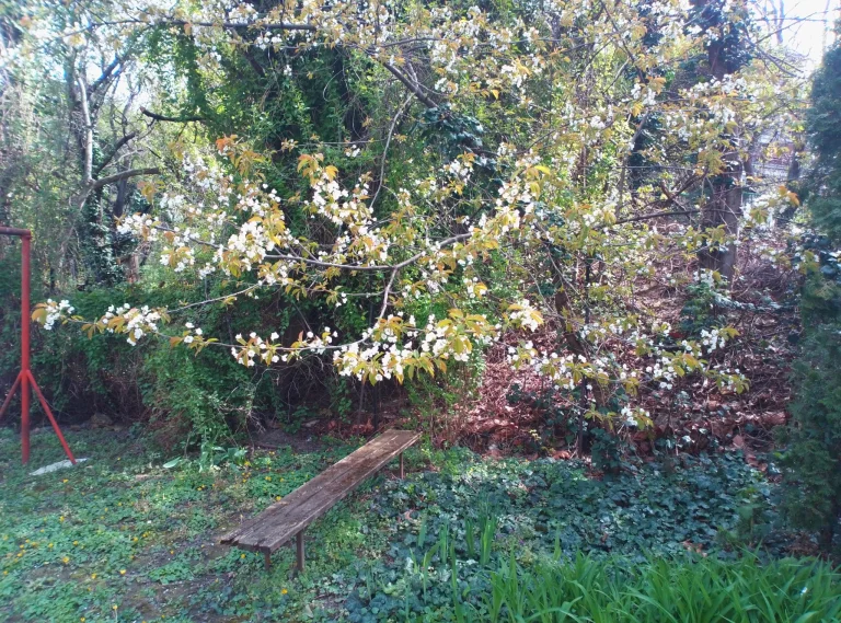 Teclast T60 tablet teszt /Frissítve/ 47