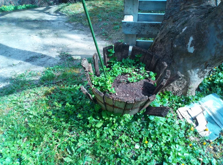 Teclast T60 tablet teszt /Frissítve/ 48