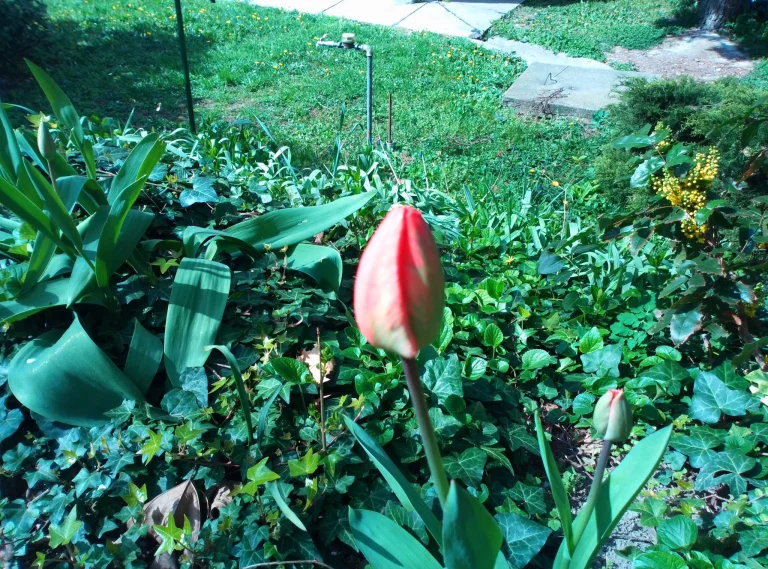 Teclast T60 tablet teszt /Frissítve/ 49