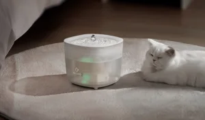 A PETEMPO itatókúttal sokáig friss marad a víz