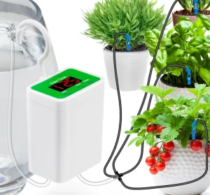 Készülj a melegre beltéri öntözőrendszerrel