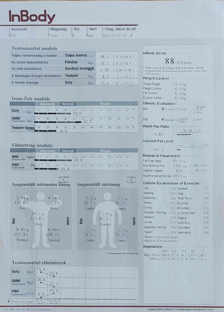 BodyPedia LM-S001 testösszetétel elemző okosmérleg teszt 48