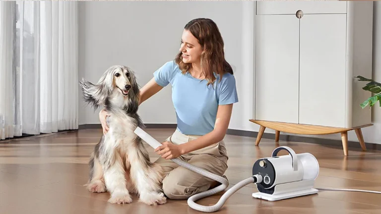 Test du kit de toilettage et de séchage pour animaux Ultenic P30 Combo