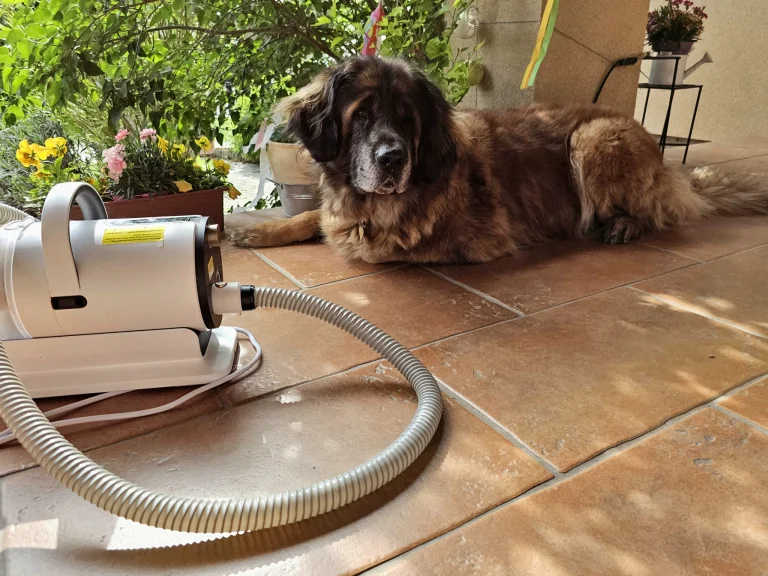 Ultenic P30 Combo kisállatápoló és szárító készlet teszt 28