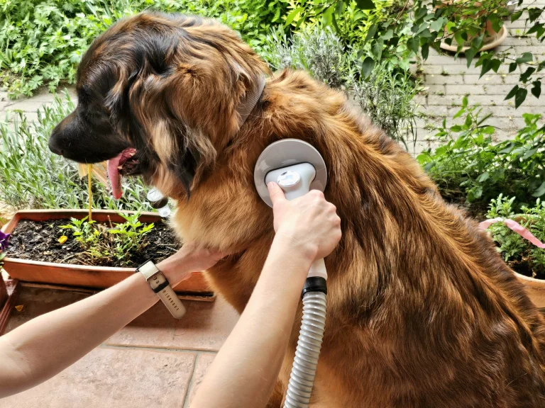 Ultenic P30 Combo kisállatápoló és szárító készlet teszt 15