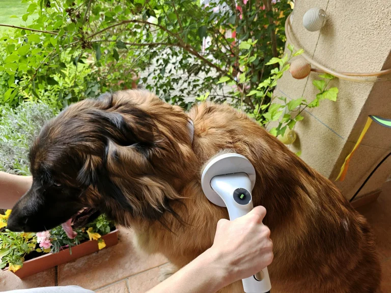 Ultenic P30 Combo kisállatápoló és szárító készlet teszt 17