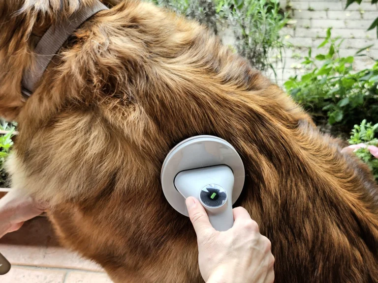 Ultenic P30 Combo kisállatápoló és szárító készlet teszt 16