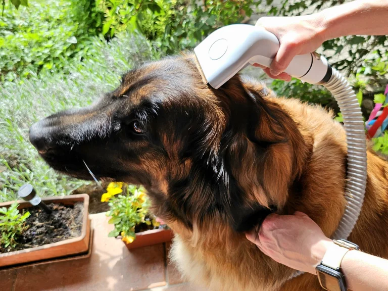 Ultenic P30 Combo kisállatápoló és szárító készlet teszt 18