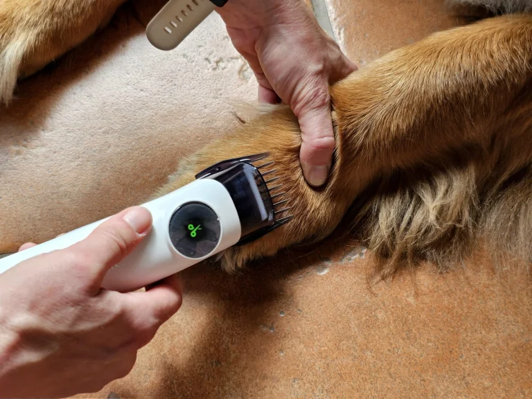 Ultenic P30 Combo kisállatápoló és szárító készlet teszt 23