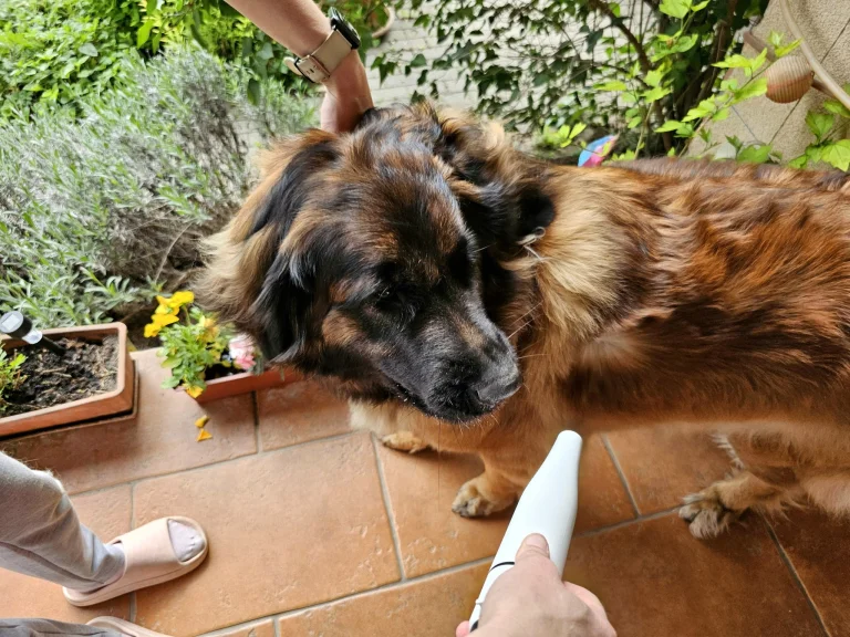 Ultenic P30 Combo kisállatápoló és szárító készlet teszt 26