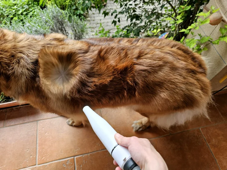 Ultenic P30 Combo kisállatápoló és szárító készlet teszt 27