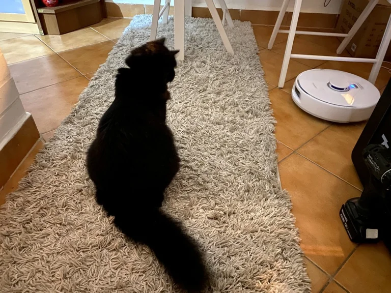 Narwal Freo X Plus önürítős robotporszívó teszt 37