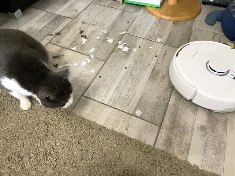 Narwal Freo X Plus önürítős robotporszívó teszt 39