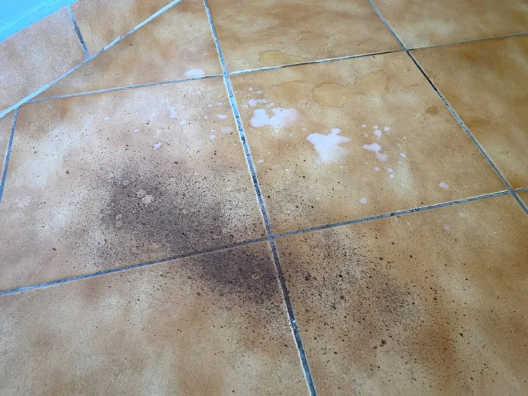 Narwal Freo X Plus önürítős robotporszívó teszt 41