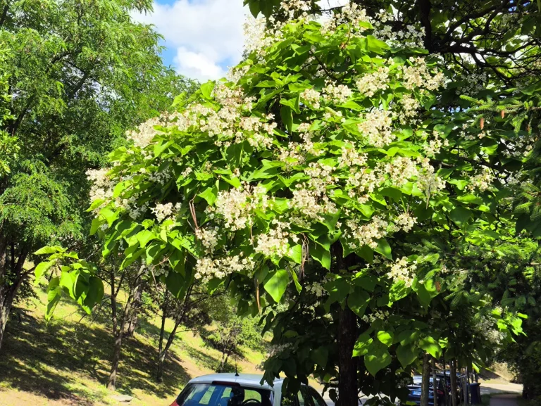 Prueba 6 del teléfono inteligente Poco X5 Pro 148G