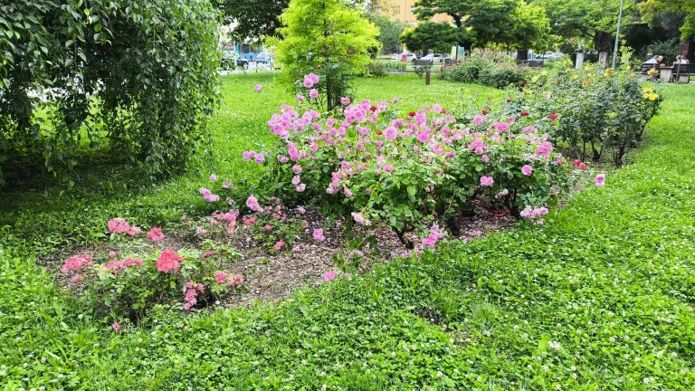 Prueba 6 del teléfono inteligente Poco X5 Pro 114G