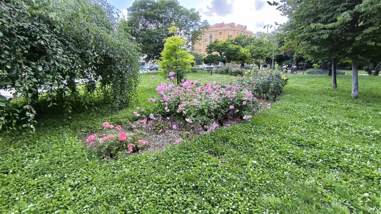 Prueba 6 del teléfono inteligente Poco X5 Pro 113G