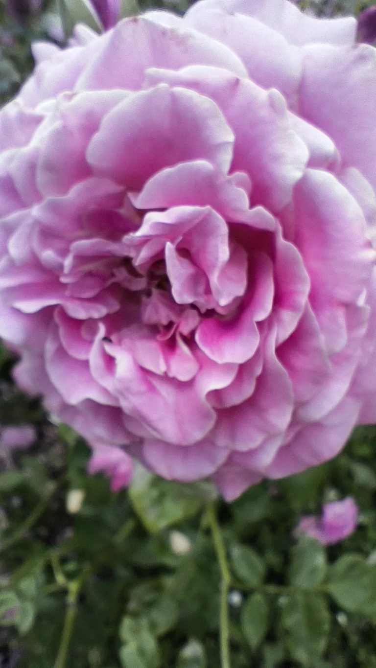 Prueba 6 del teléfono inteligente Poco X5 Pro 111G