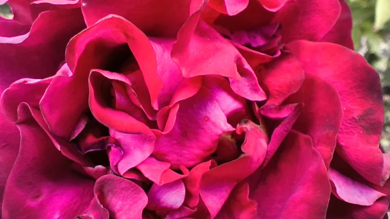 Prueba 6 del teléfono inteligente Poco X5 Pro 110G