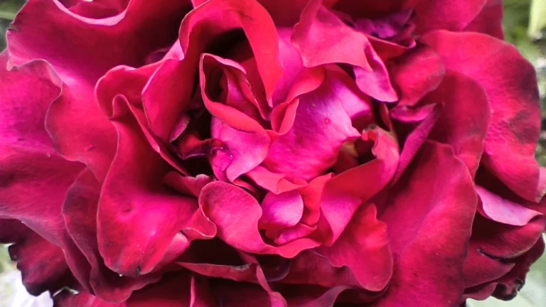 Prueba 6 del teléfono inteligente Poco X5 Pro 109G