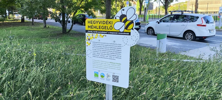 Prueba 6 del teléfono inteligente Poco X5 Pro 67G