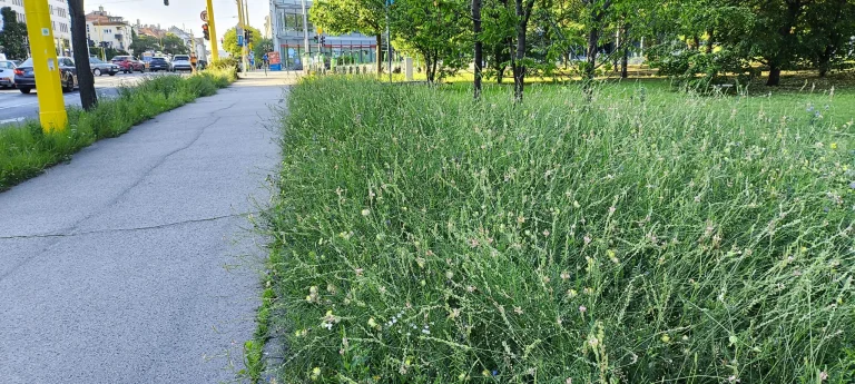 Prueba 6 del teléfono inteligente Poco X5 Pro 66G