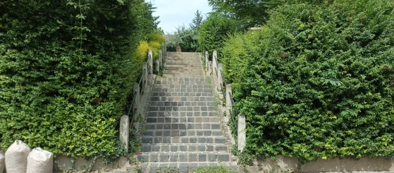 Test 8 du smartphone Blackview Shark 53