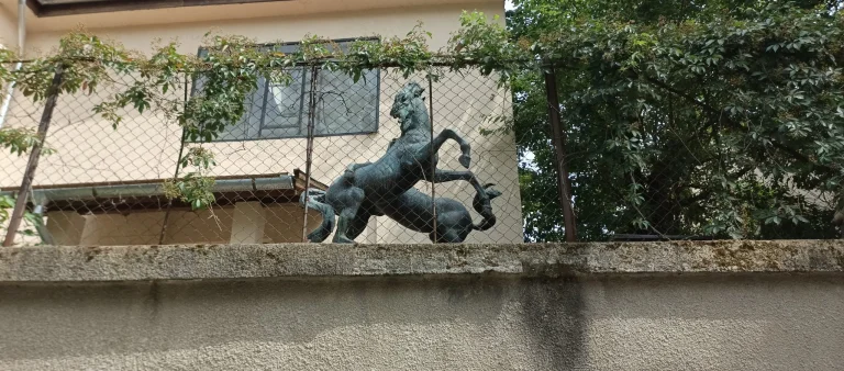 Test 8 du smartphone Blackview Shark 54