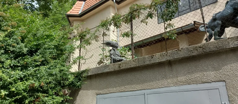 Test 8 du smartphone Blackview Shark 55