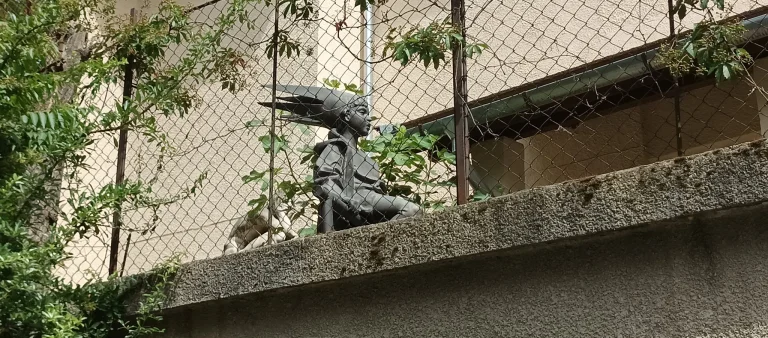 Test 8 du smartphone Blackview Shark 56