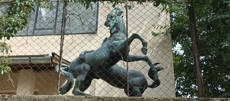 Test 8 du smartphone Blackview Shark 57