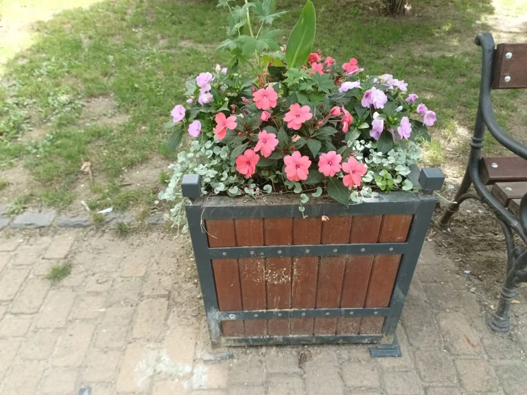 Test 8 du smartphone Blackview Shark 65