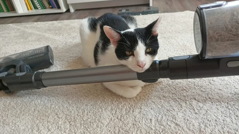 Proscenic P11 Mopping állóporszívó teszt 18