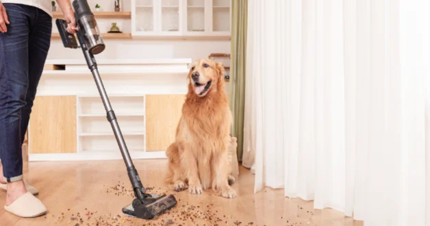 Proscenic P11 Mopping állóporszívó teszt 1