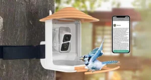 ZANLURE okos madáretető: madármegfigyelés Full HD-ben