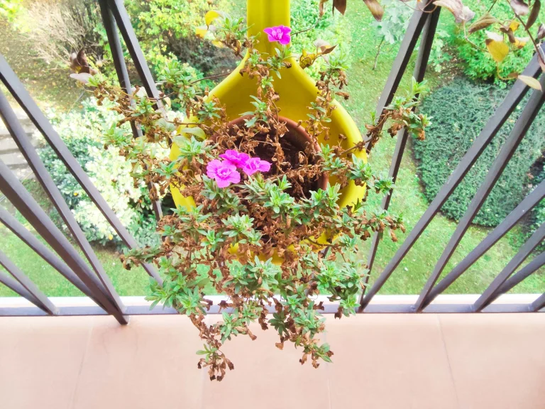 Xiaomi Poco Pad tablet test 54