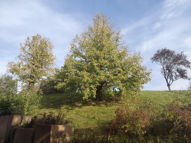 Xiaomi Poco Pad tablet test 61