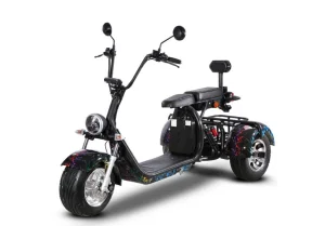 Dogebos SC09: A new form of urban transport with an e-tricycle