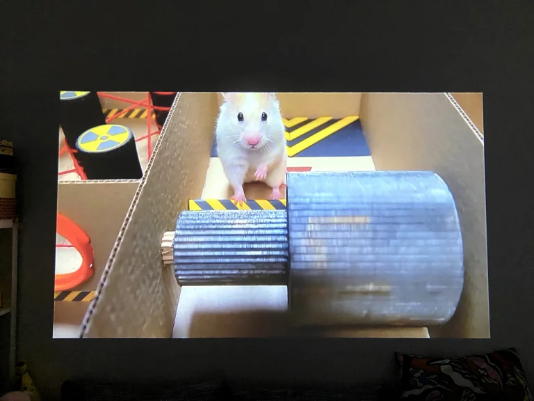 Prueba 100 del proyector Lenovo 51P