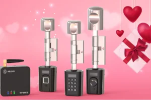 Szerelemlakat helyett akciós okoszárak a WELOCK-tól