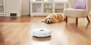 Narwal Freo X Plus és Narwal Freo Z Ultra