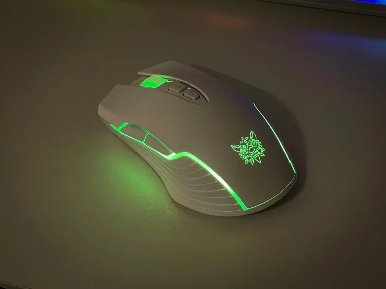 Test de la souris de jeu ONIKUMA CW905 15