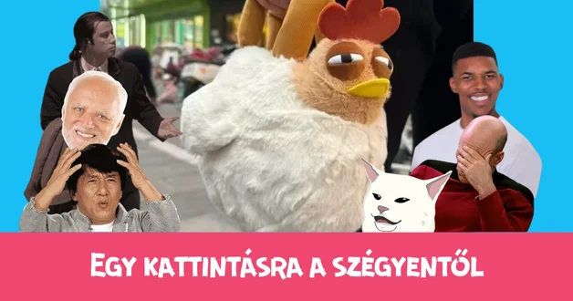 Egy kattintásra a szégyentől – baromfitáska bátraknak 1