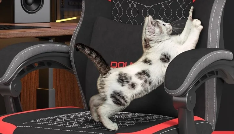 Douxlife GC-RC05 – Masszázs, lábtartó, kényelem 7