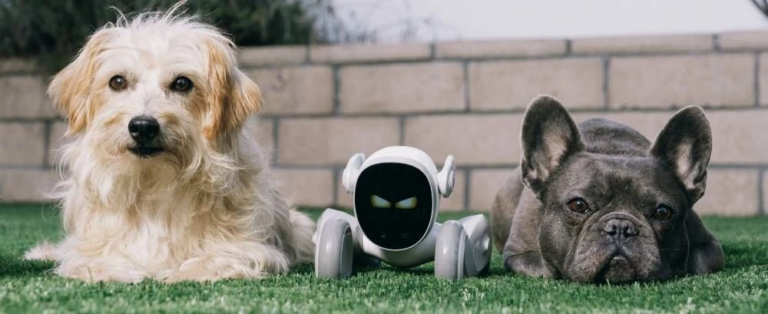 Loona EPP3.0, a geekek álomkutyája 7