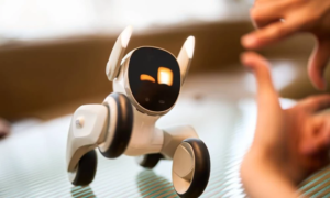 Loona EPP3.0, a geekek álomkutyája