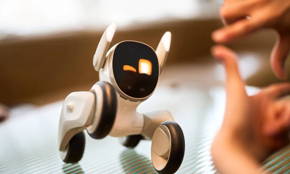 Loona EPP3.0, a geekek álomkutyája 1