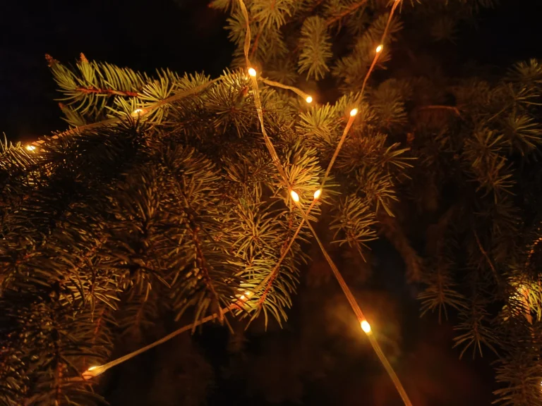 Prueba 12 de la mini lámpara de camping Nextool GC12S